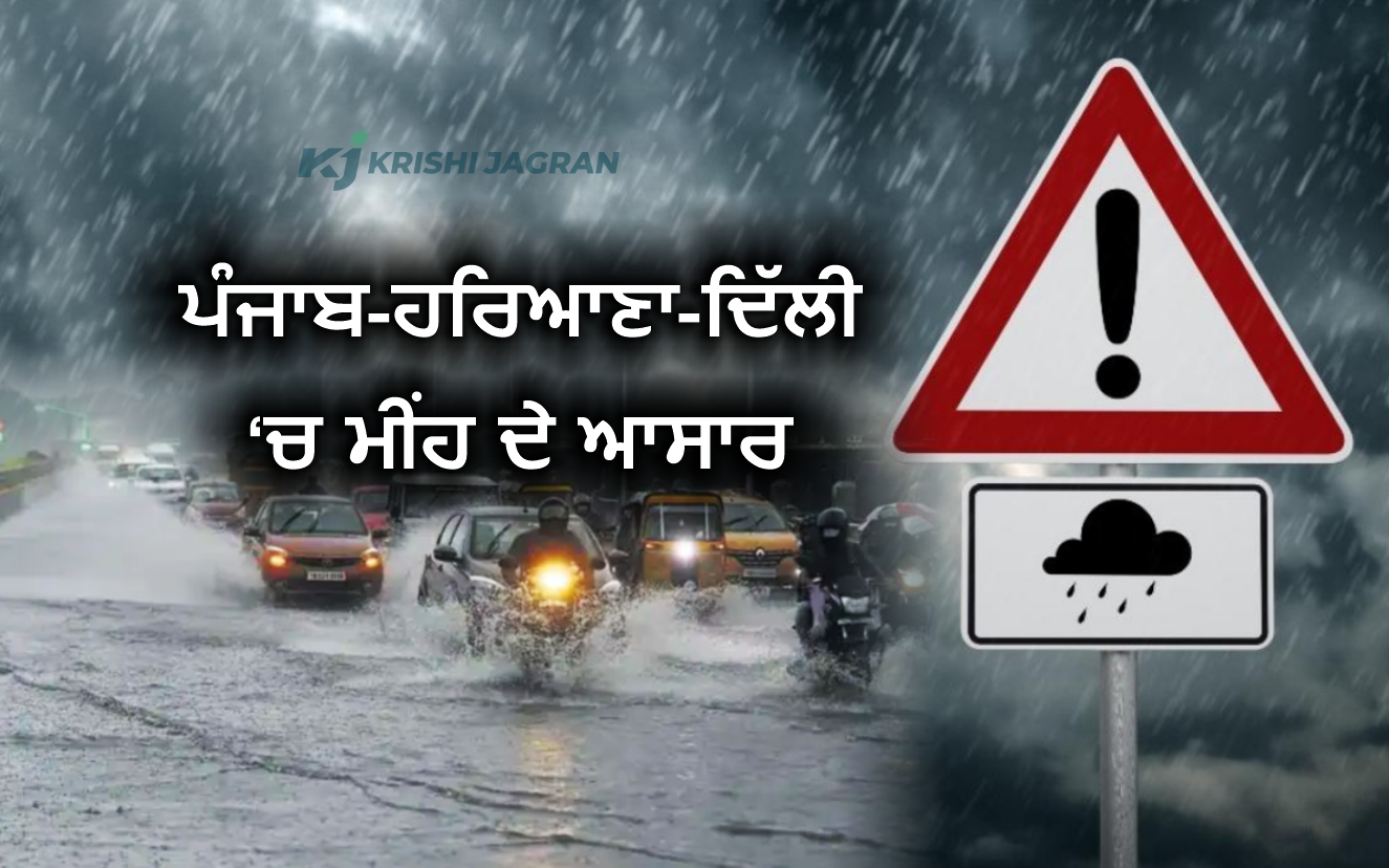 ਮੌਸਮ ਵਿਭਾਗ ਵੱਲੋਂ ਅਲਰਟ ਮੌਸਮ ਵਿਭਾਗ ਵੱਲੋਂ ਅਲਰਟ
