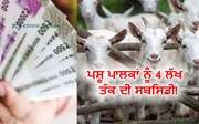 ਪਸ਼ੂ ਪਾਲਕਾਂ ਲਈ ਖੁਸ਼ਖਬਰੀ, ਸਰਕਾਰ ਵਲੋਂ ਮਿਲੇਗੀ  4 ਲੱਖ ਤੱਕ ਦੀ ਸਬਸਿਡੀ