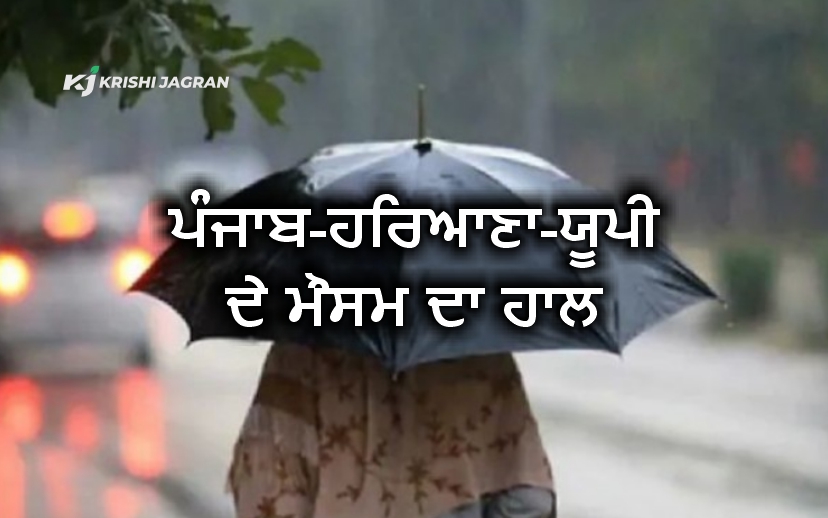 ਮੌਸਮ ਦਾ ਮਿਜਾਜ਼ ਮੌਸਮ ਦਾ ਮਿਜਾਜ਼