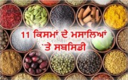 ਘਰੇਲੂ ਮਸਾਲਿਆਂ ਦੀ ਖੇਤੀ `ਤੇ ਸਬਸਿਡੀ, ਜਾਣੋ ਸਕੀਮ ਲਈ ਅਰਜ਼ੀ ਦੇਣ ਦੀ ਪ੍ਰਕਿਰਿਆ