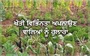 ਜੈਵਿਕ ਵਿਭਿੰਨਤਾ ਦੇ ਖੇਤਰ `ਚ ਸ਼ਾਨਦਾਰ ਕੰਮ ਕਰਨ ਵਾਲਿਆਂ ਨੂੰ ਮਿਲੇਗਾ ਪੁਰਸਕਾਰ 