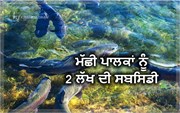 ਮੱਛੀ ਪਾਲਕਾਂ ਲਈ ਖੁਸ਼ਖਬਰੀ, ਕਾਰੋਬਾਰ `ਚ ਵਾਧੇ ਲਈ 2 ਲੱਖ ਦੀ ਸਬਸਿਡੀ