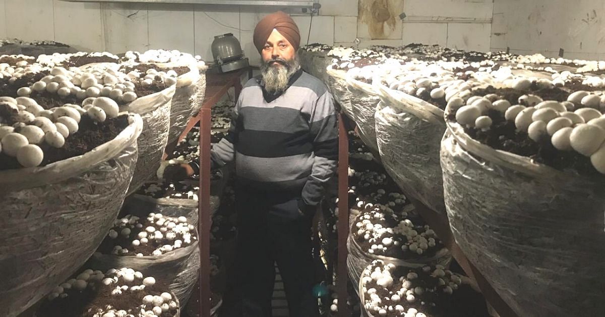 ਪੰਜਾਬ ਦੇ ਇਸ ਕਿਸਾਨ ਨੇ ਮਸ਼ਰੂਮ ਦੀ ਉੱਨਤ ਖੇਤੀ ਰਾਹੀਂ ''ਮਸ਼ਰੂਮ ਕਿੰਗ'' ਦਾ ਟਾਈਟਲ ਹਾਸਲ ਕੀਤਾ ਪੰਜਾਬ ਦੇ ਇਸ ਕਿਸਾਨ ਨੇ ਮਸ਼ਰੂਮ ਦੀ ਉੱਨਤ ਖੇਤੀ ਰਾਹੀਂ ''ਮਸ਼ਰੂਮ ਕਿੰਗ'' ਦਾ ਟਾਈਟਲ ਹਾਸਲ ਕੀਤਾ