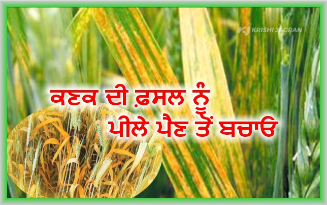ਕਿਸਾਨ ਹੋਣਗੇ ਖੁਸ਼ਹਾਲ ਕਿਸਾਨ ਹੋਣਗੇ ਖੁਸ਼ਹਾਲ