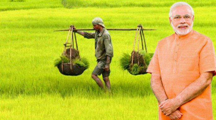 ਕਿਸਾਨਾਂ ਲਈ 5 ਸਰਕਾਰੀ ਯੋਜਨਾਵਾਂ ਕਿਸਾਨਾਂ ਲਈ 5 ਸਰਕਾਰੀ ਯੋਜਨਾਵਾਂ