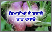ਕਿਸਾਨ ਭਰਾਵਾਂ ਨੂੰ ਸੁਨੇਹਾ, ਆਪਣੀ ਫ਼ਸਲ ਨੂੰ ਇਨ੍ਹਾਂ ਰਸਾਇਣਾਂ ਤੋਂ ਬਚਾਓ