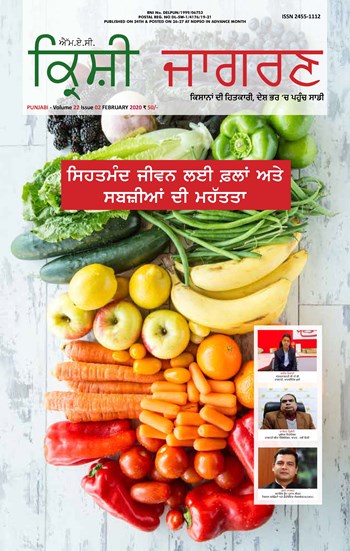 Krishi Jagran Punjabi Magazine Subscription