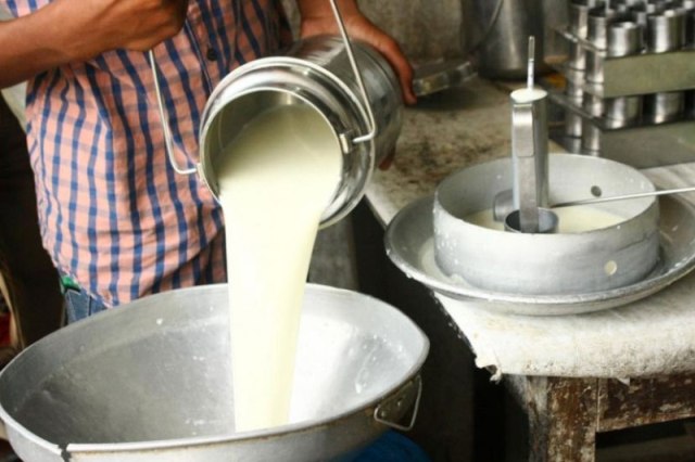 Milk Milk