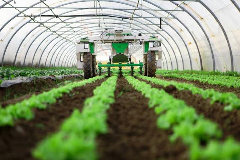 Agriculture 2 Agriculture 2