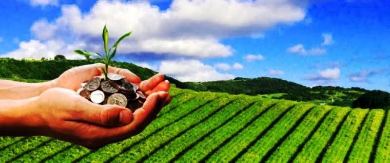 Agriculure Agriculure