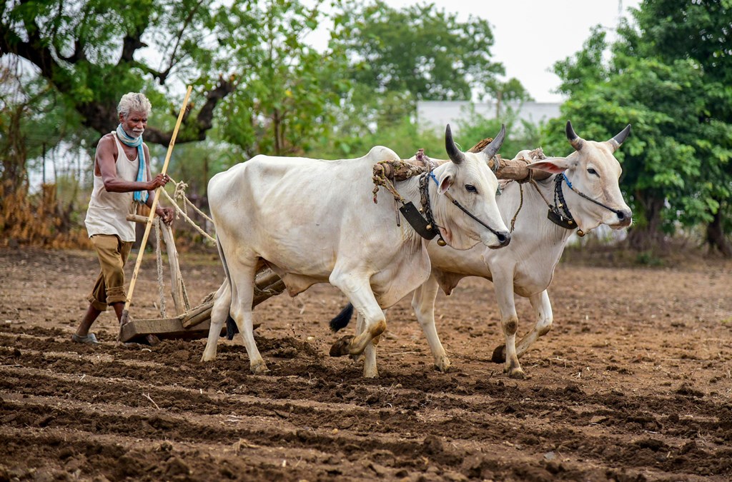 Pm kisaan Pm kisaan