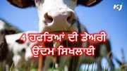 3 ਜੁਲਾਈ ਤੋਂ ਸ਼ੁਰੂ ਹੋਵੇਗਾ Dairy Business Training Course