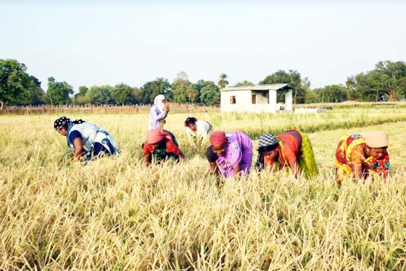 Kisaan Kisaan