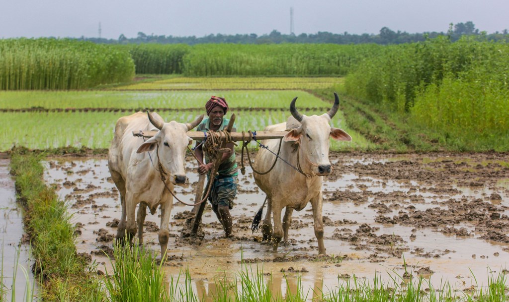 Kisaan Kisaan