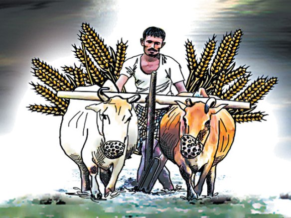 pm kisaan nidhi yojna pm kisaan nidhi yojna