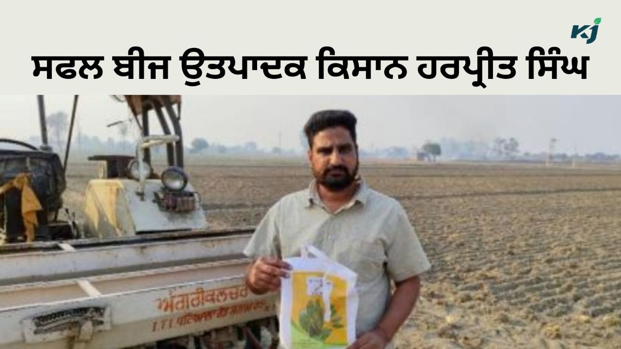 ਕਣਕ ਦੀ 826 ਕਿਸਮ ਨੇ ਤੋੜੇ Record, Seeds ਲੈਣ ਲਈ Farmer Harpreet Singh ਨੂੰ ਕਰੋ Contact