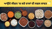 ਭਾਰਤ ਨੂੰ 2030 ਤੱਕ 32 ਮਿਲੀਅਨ ਟਨ ਦਾਲਾਂ ਦਾ ਉਤਪਾਦਨ ਕਰਨ ਦੀ ਲੋੜ