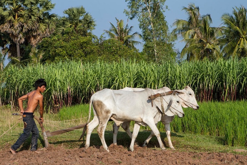 pm kisan 2 pm kisan 2