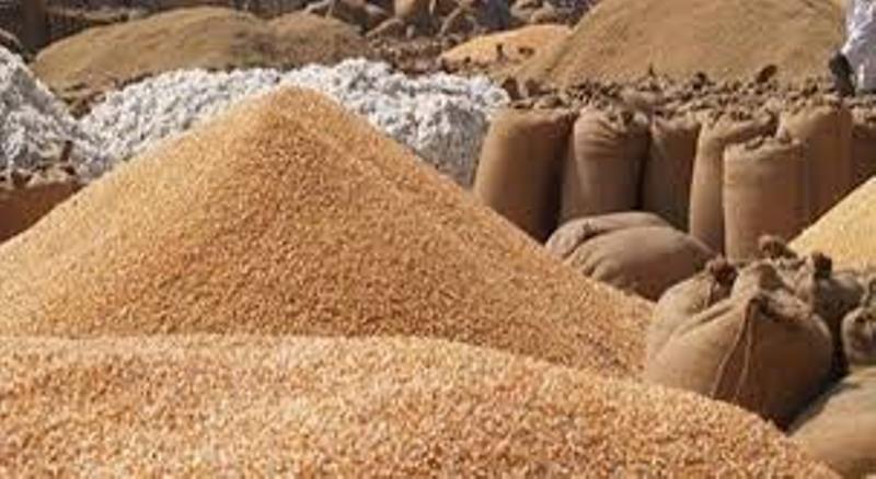 Modi govt extends wheat