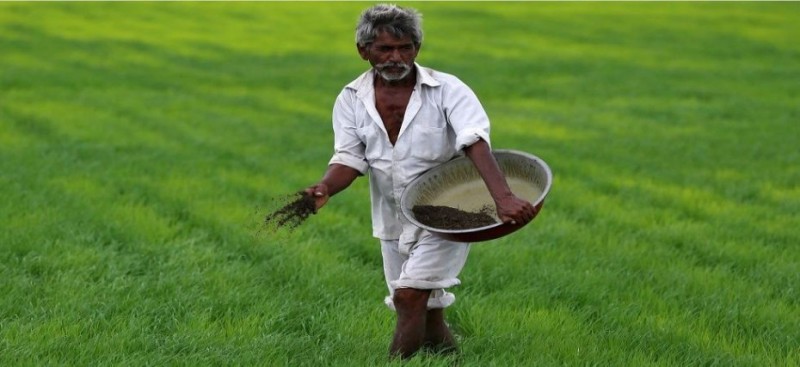 farmers farmers