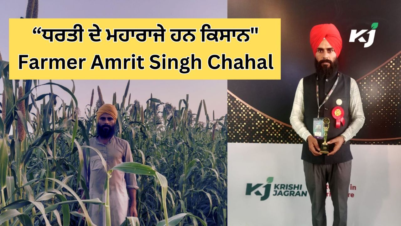 Traditional ਅਤੇ Organic ਖੇਤੀ ਕਰਨ ਵਾਲੇ Farmer Amrit Singh Chahal ਨੇ ਕਿਹਾ, “ਧਰਤੀ ਦੇ ਮਹਾਰਾਜੇ ਹਨ ਕਿਸਾਨ" 