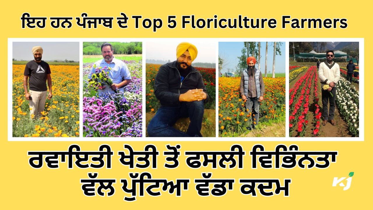 Top 5 Floriculture Farmers of Punjab: ਪੰਜਾਬ ਦੇ ਇਹ ਕਿਸਾਨ ਫੁੱਲਾਂ ਦੀ ਖੇਤੀ ਨੂੰ ਦੇ ਰਹੇ ਹਨ ਤਰਜੀਹ, ਰਵਾਇਤੀ ਖੇਤੀ ਤੋਂ Crop Diversification ਵੱਲ ਪੁੱਟਿਆ ਵੱਡਾ ਕਦਮ