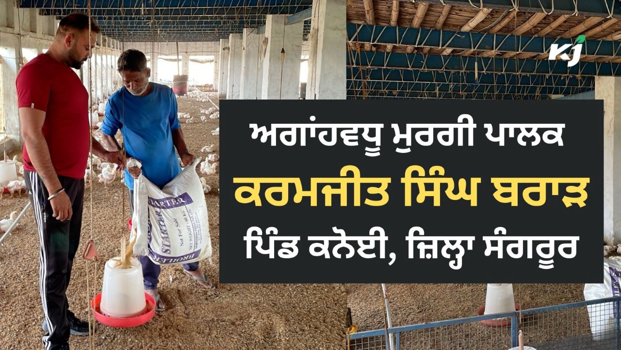 Sangrur ਦਾ Progressive Poultry Farmer ਕਰਮਜੀਤ ਸਿੰਘ ਬਰਾੜ ਬਣਿਆ ਮਿਸਾਲ, ਦੇਖੋ ਕਿਵੇਂ ਤਹਿ ਕੀਤਾ Traditional Farming ਤੋਂ 'Brar Poultry Farm' ਤੱਕ ਦਾ ਵਧੀਆ ਸਫਰ 