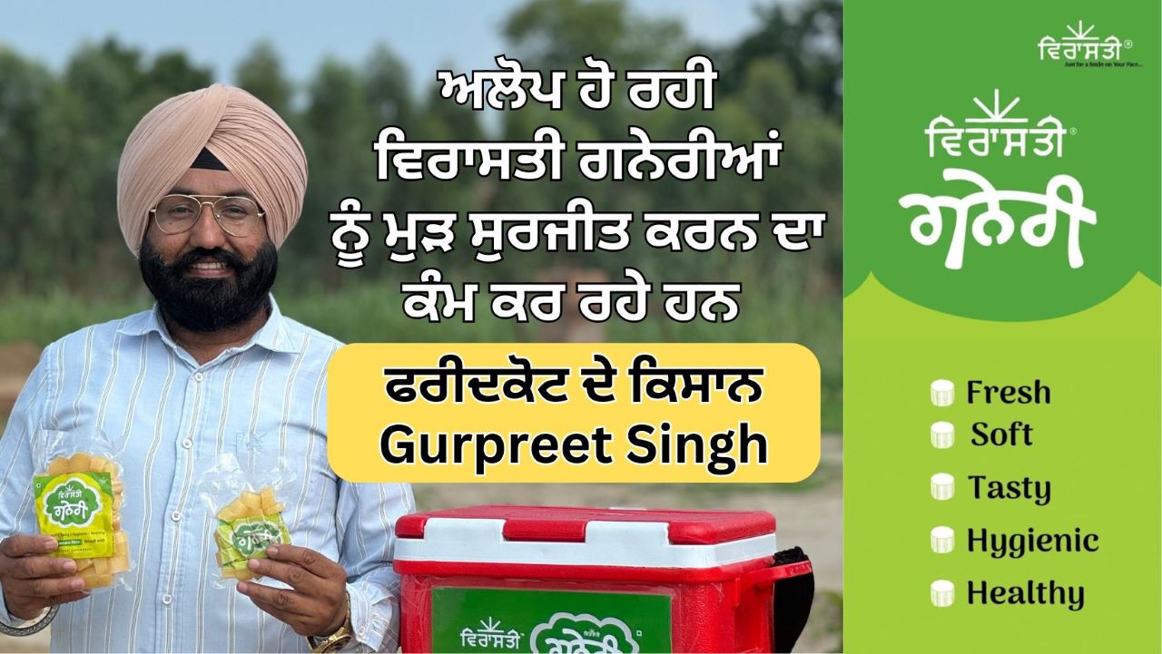 ਦੂਰਦਰਸ਼ੀ ਸੋਚ ਦੇ ਮਾਲਿਕ Faridkot ਦੇ ਕਿਸਾਨ Gurpreet Singh ਬਣੇ ਮਿਸਾਲ, ਅਲੋਪ ਹੋ ਰਹੀ ਵਿਰਾਸਤੀ ਗਨੇਰੀਆਂ ਨੂੰ ਮੁੜ ਸੁਰਜੀਤ ਕਰਨ ਦਾ ਕਰ ਰਹੇ ਹਨ ਕੰਮ