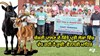 Goat Farming ਦੇ ਕਿੱਤੇ ਪ੍ਰਤੀ ਲੋਕਾਂ ਵਿੱਚ ਵੱਧ ਰਹੀ ਹੈ ਰੁਚੀ: Veterinary Experts