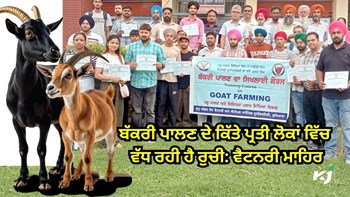 Goat Farming ਦੇ ਕਿੱਤੇ ਪ੍ਰਤੀ ਲੋਕਾਂ ਵਿੱਚ ਵੱਧ ਰਹੀ ਹੈ ਰੁਚੀ: Veterinary Experts