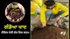 ਗੰਡੋਆ ਖਾਦ: Organic Farming ਵੱਲ ਇੱਕ ਕਦਮ