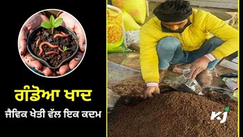 ਗੰਡੋਆ ਖਾਦ: Organic Farming ਵੱਲ ਇੱਕ ਕਦਮ
