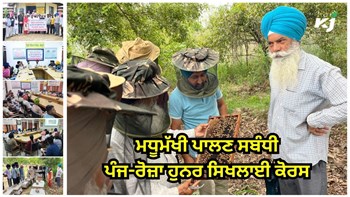 Beekeeping: ਮਧੂਮੱਖੀ ਪਾਲਣ ਸਬੰਧੀ ਹੁਨਰ ਸਿਖਲਾਈ ਕੋਰਸ ਦੌਰਾਨ ਮਧੂਮੱਖੀਆਂ ਦੇ ਬਕਸਿਆਂ 'ਤੇ ਕਰਵਾਇਆ ਗਿਆ ਪ੍ਰੈਕਟਿਕਲ ਅਭਿਆਸ  