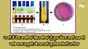 Hygienic Practices: ਬਰਸਾਤ ਦੇ ਮੌਸਮ ਦੌਰਾਨ ਰੋਗਾਂ ਦੇ ਕਾਰਣ 👉 ਗੰਦਾ ਪਾਣੀ, ਗ਼ਲਤ ਨਿਕਾਸੀ ਪ੍ਰਬੰਧ ਅਤੇ ਗੰਦਗੀ : ਵੈਟਨਰੀ ਮਾਹਿਰ