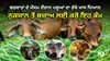 Animal Care Tips: ਬਰਸਾਤਾਂ ਦੇ ਮੌਸਮ ਦੌਰਾਨ ਪਸ਼ੂਆਂ ਦਾ ਰੱਖੋ ਖਾਸ ਧਿਆਨ, ਨੁਕਸਾਨ ਤੋਂ ਬਚਾਅ ਲਈ ਕਰੋ ਇਹ ਕੰਮ 