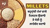 Millets: ਬਹੁਮੁੱਖੀ ਪੱਖਾਂ ਵਾਲੇ ਮਿਲਟਸ ਉਗਾਓ ਤੇ ਖੇਤੀ ਨੂੰ ਲਾਹੇਵੰਦ ਬਣਾਓ