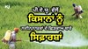 Punjab Agricultural University ਨੇ ਕਿਸਾਨਾਂ ਨੂੰ ਨਦੀਨਨਾਸ਼ਕਾਂ ਦੇ ਛਿੜਕਾਅ ਬਾਰੇ ਕੀਤੀਆਂ ਜ਼ਰੂਰੀ ਸਿਫ਼ਾਰਸ਼ਾਂ 