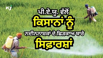 Punjab Agricultural University ਨੇ ਕਿਸਾਨਾਂ ਨੂੰ ਨਦੀਨਨਾਸ਼ਕਾਂ ਦੇ ਛਿੜਕਾਅ ਬਾਰੇ ਕੀਤੀਆਂ ਜ਼ਰੂਰੀ ਸਿਫ਼ਾਰਸ਼ਾਂ 