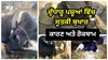 Milk Fever in Dairy Animals: ਦੁੱਧਾਰੂ ਪਸ਼ੂਆਂ ਵਿੱਚ ਸੂਤਕੀ ਬੁਖਾਰ – ਕਾਰਣ ਅਤੇ ਰੋਕਥਾਮ
