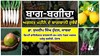 Punjab ਦੇ ਕਿਸਾਨਾਂ ਨੂੰ ਸਲਾਹ, Dr. Sukhdeep Singh Hundal ਨੇ ਸਾਂਝੇ ਕੀਤੇ ਅਗਸਤ ਮਹੀਨੇ ਦੇ ਬਾਗਬਾਨੀ ਰੁਝੇਂਵੇਂ