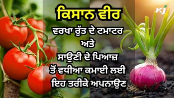Production and Profit: ਵਰਖਾ ਰੁੱਤ ਦੇ ਟਮਾਟਰ ਅਤੇ ਸਾਉਣੀ ਦੇ ਪਿਆਜ਼ ਦੀ ਵਧੀਆ ਪੈਦਾਵਾਰ ਲਈ ਮਾਹਿਰਾਂ ਵੱਲੋਂ ਨੁਕਤੇ ਸਾਂਝੇ 