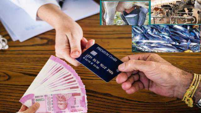 pashu kisan credit card 2 pashu kisan credit card 2