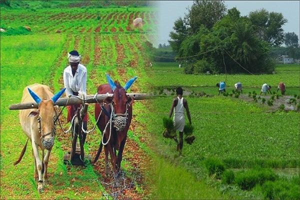 Farmer Farmer