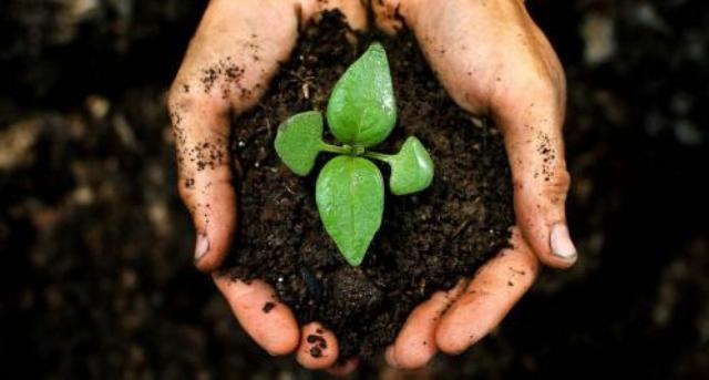 World soil day World soil day