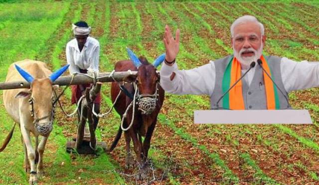 Pm KIsan Scheme Pm KIsan Scheme