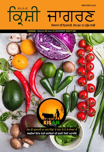 Krishi Jagran Punjabi Magazine Subscription