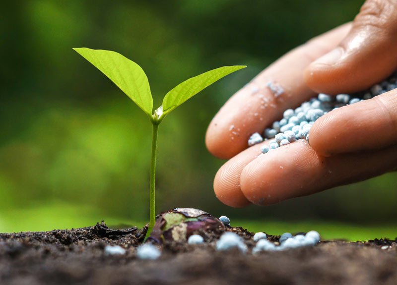 Fertilizer Fertilizer