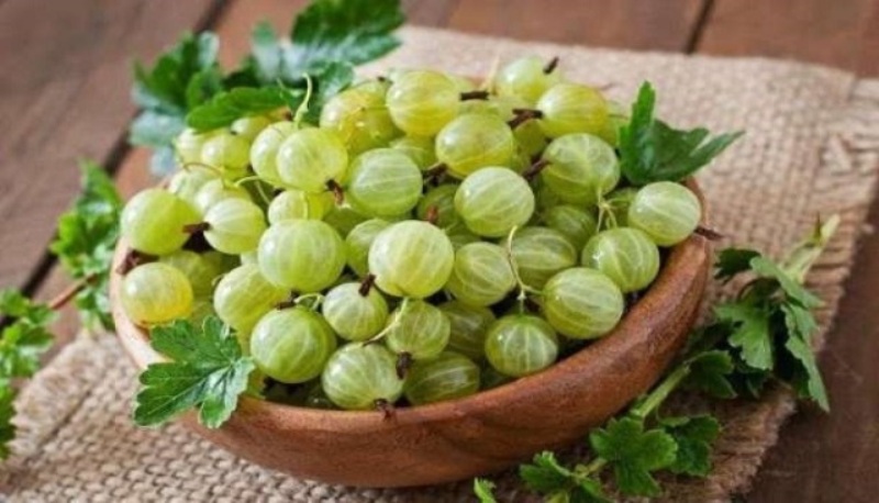 Gooseberry Gooseberry