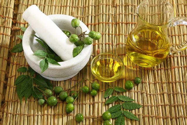 Neem plant oil Neem plant oil