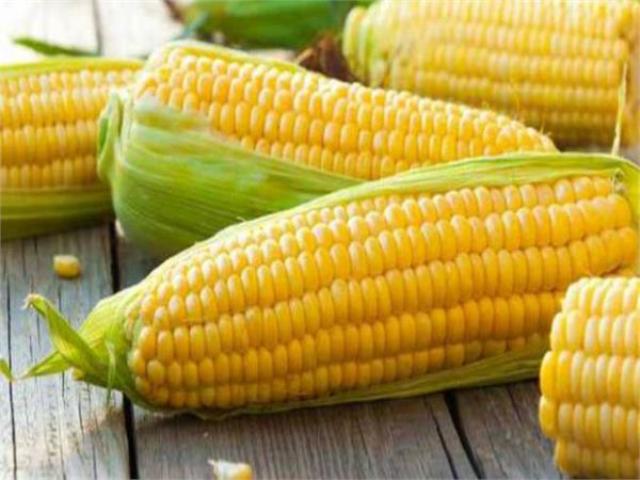 Corn Corn